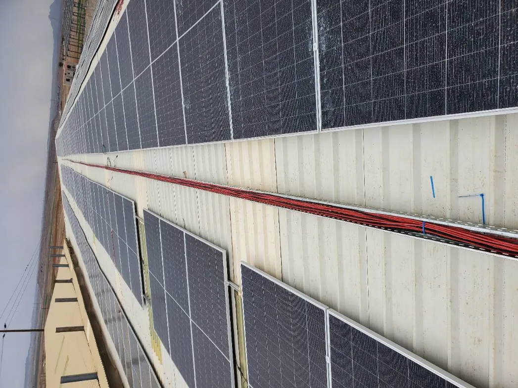 منظومة المركز الأول للبذور - ذمار