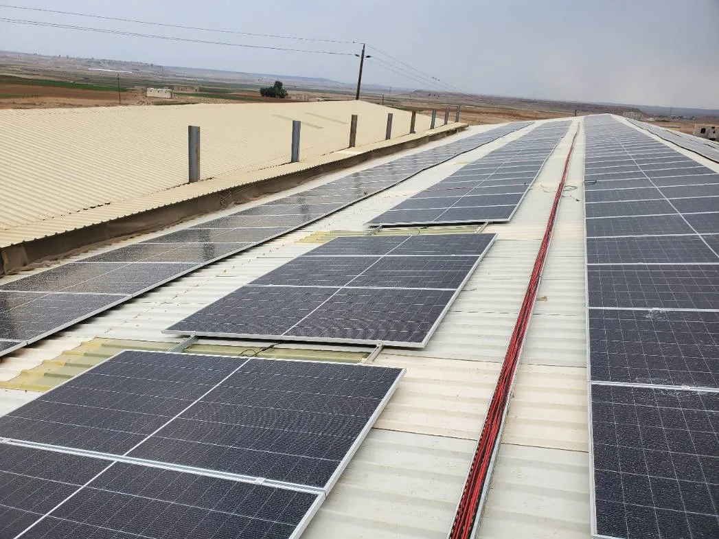 صورة إضافية 2 من مشروع منظومة المركز الأول للبذور - ذمار