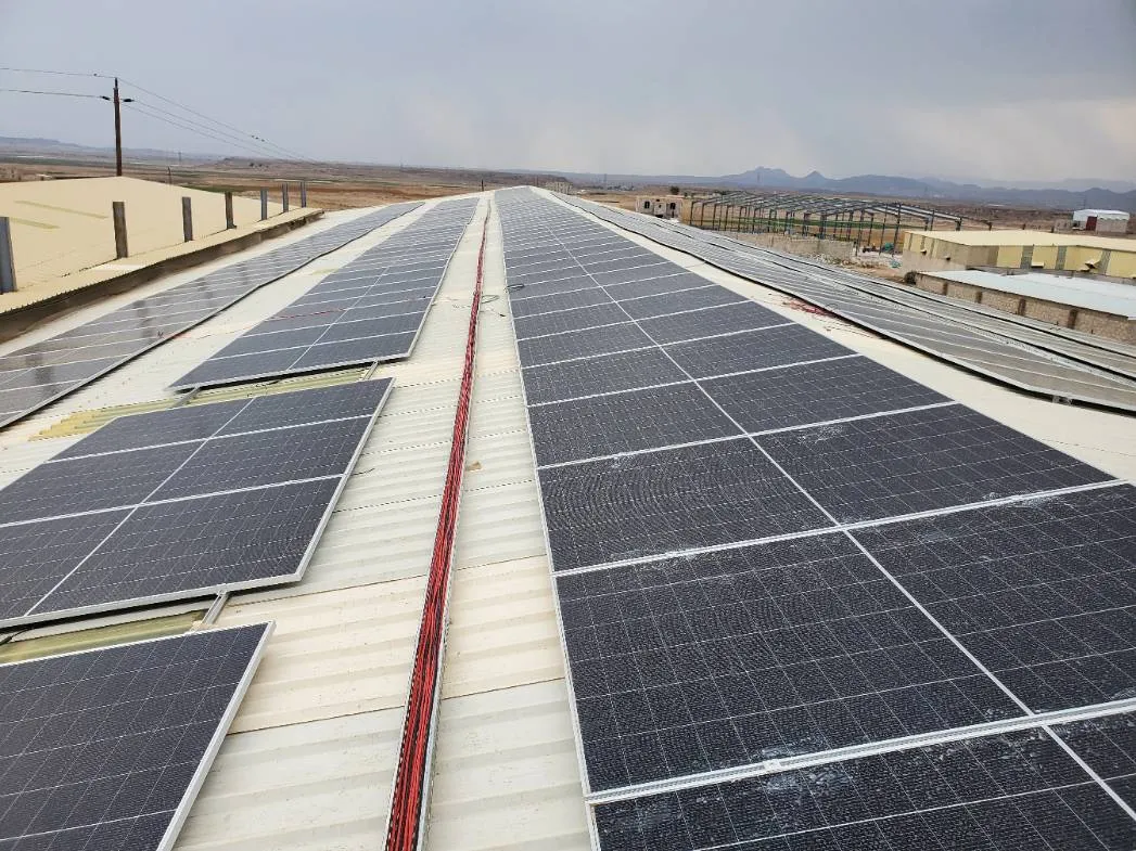 صورة إضافية 3 من مشروع منظومة المركز الأول للبذور - ذمار