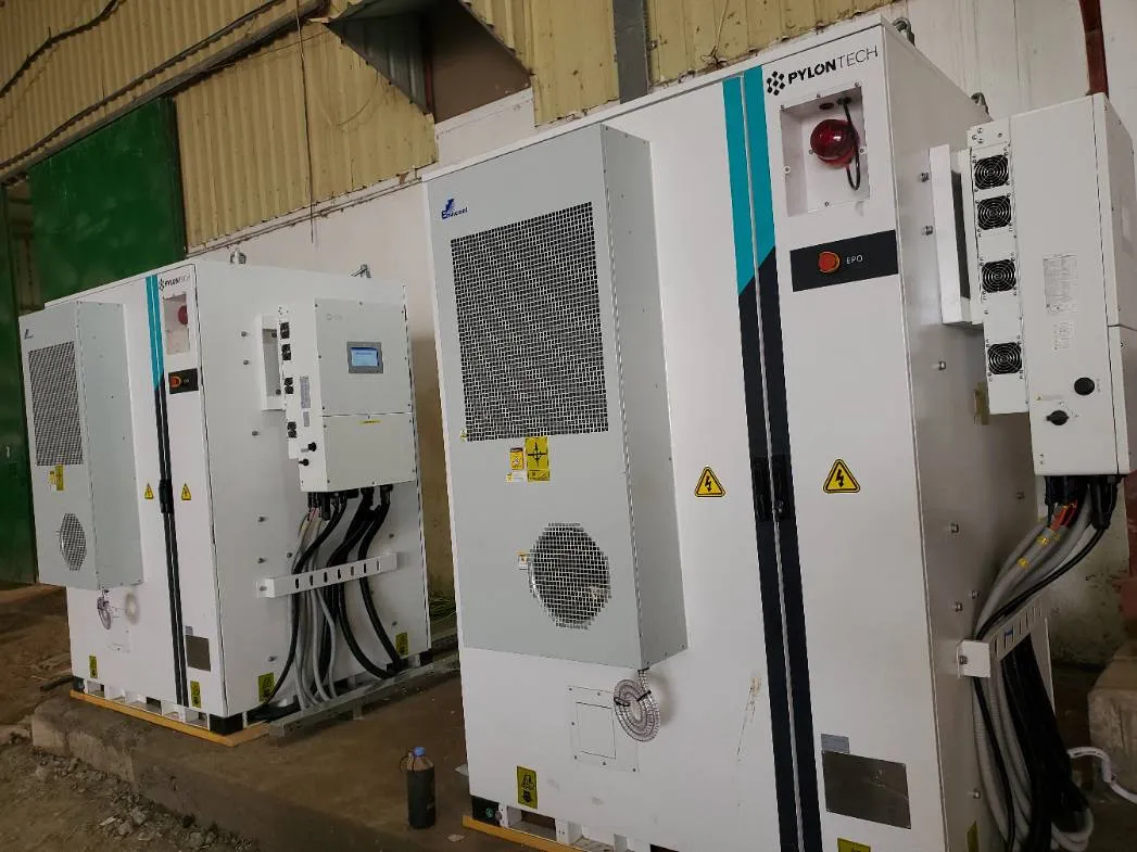 صورة إضافية 5 من مشروع منظومة المركز الأول للبذور - ذمار