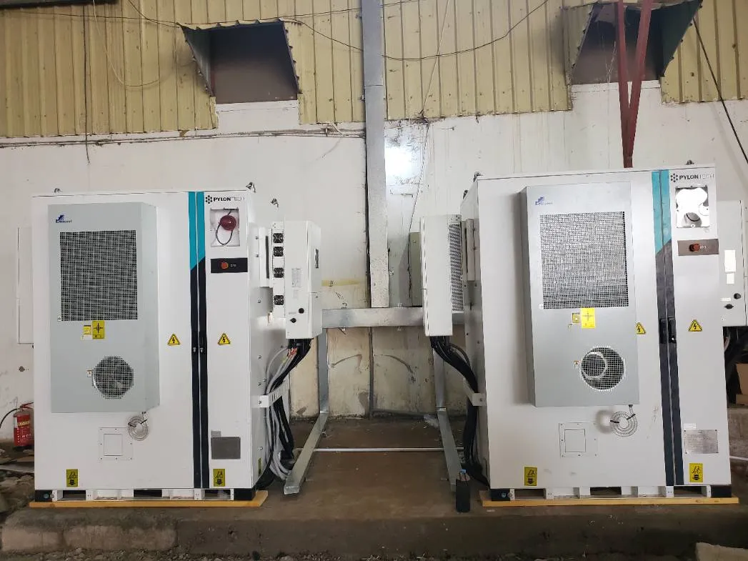 صورة إضافية 6 من مشروع منظومة المركز الأول للبذور - ذمار